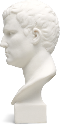 Isolated Cutout PNG